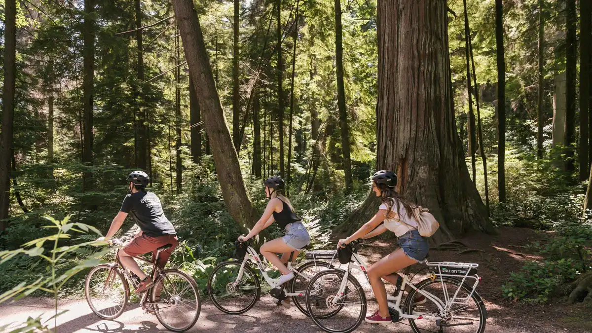 E-bike riders at the Prospect Point lookout above the Lions Gate Bridge, half-day city highlights e-bike tour Vancouver