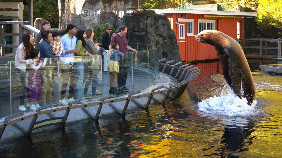 Family watching a rescued sea otter in the Vancouver Aquarium galleries in Stanley Park, Vancouver Aquarium skip-the-line ticket